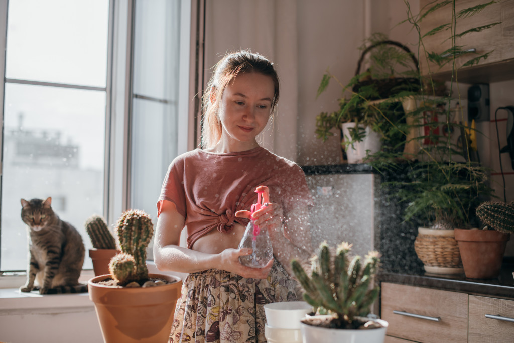 woman watering cacti