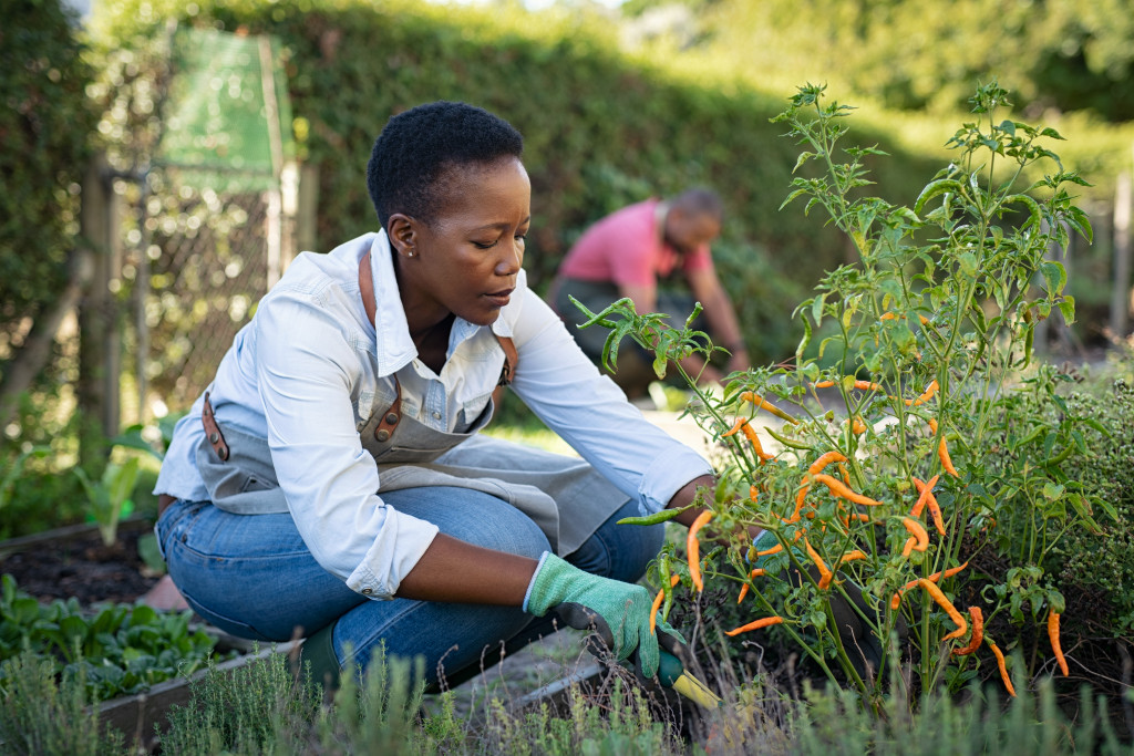 People doing gardening in their backyard