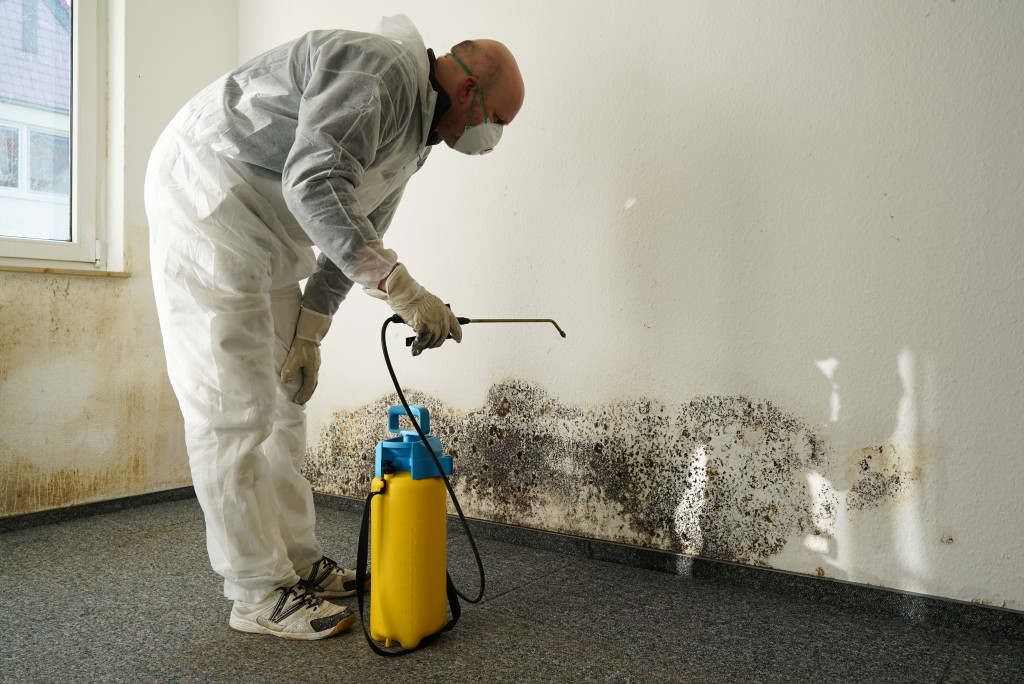 A professional removing mold and mildew on a house wall