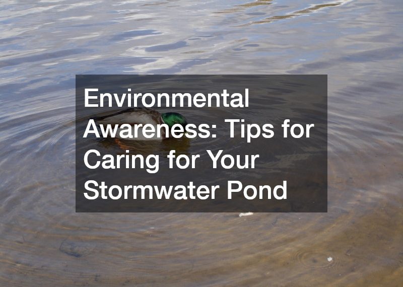 Environmental Awareness Tips for Caring for Your Stormwater Pond