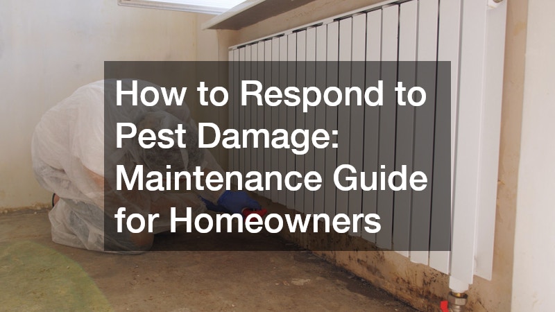 How to Respond to Pest Damage: Maintenance Guide for Homeowners